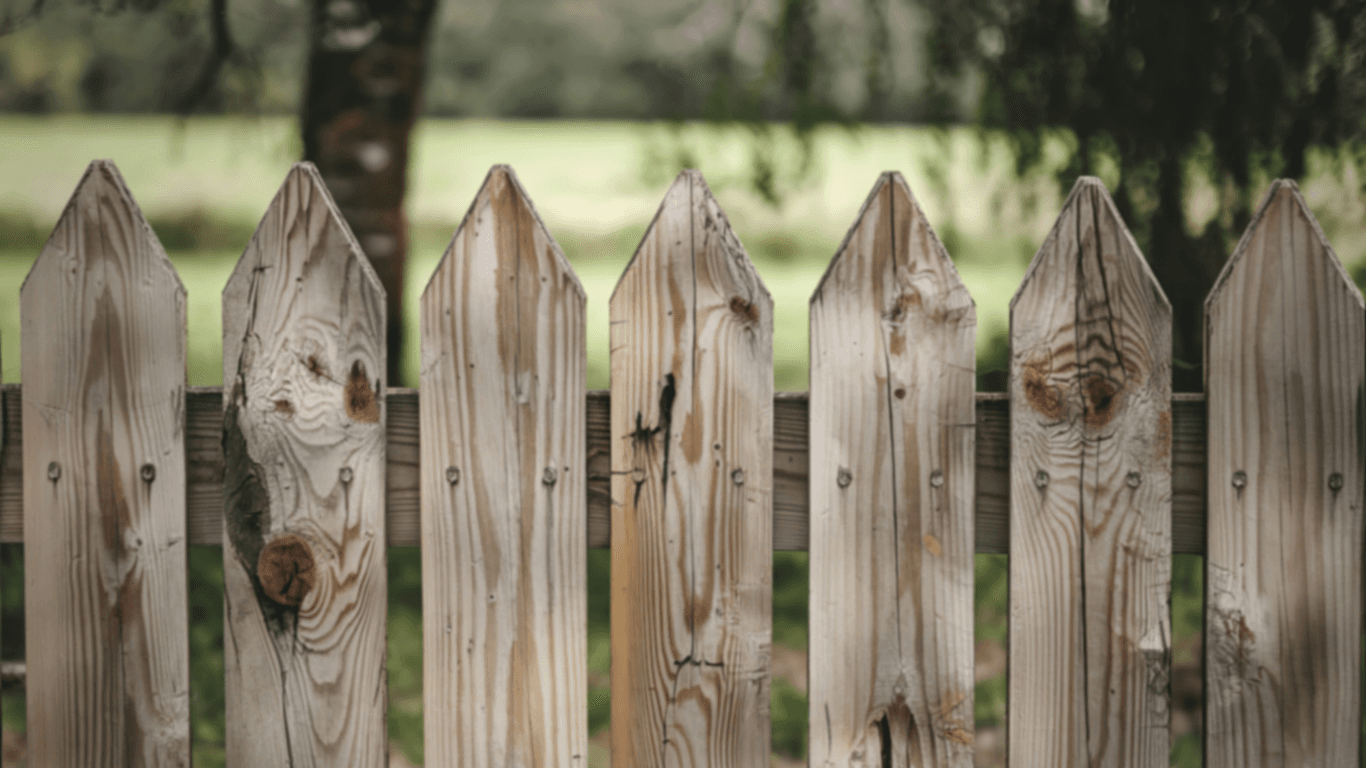 When to Stain a New Fence: Expert Timing Guide for Kansas City